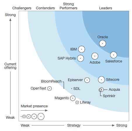 - Update: Is CEM the better CRM? ...and is this the end of the evolution?: Customer Centric is one of the key buzzwords these days.... but what's behind? It's a cultural change and much more then just CRM (Customer Relationship Management), or better it's an active CRM approach which is not only reflecting the past. We need to transform our self from CRM over CEM up to CIM.